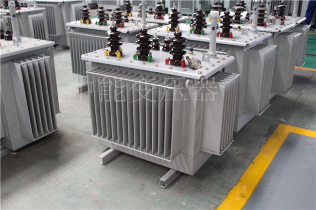 克孜勒苏S22-100KVA/10KV/0.4KV变压器